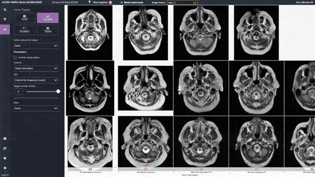 Image collection with metadata panel open